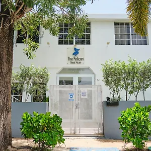 Guest house The Pelican Poshtel